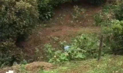 Terreno à venda, 500 m² por r$ 100.000,00 - costa carvalho - juiz de fora/mg