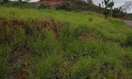 Terreno à venda, 326 m² por R$ 95.000,00 - Grama - Juiz de Fora/MG