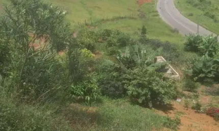 Terreno à venda, 1800 m² por r$ 35.000 de entrada nova germania - juiz de fora/mg