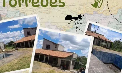 Chácara com 2 dormitórios à venda, 1000 m² por r$ 40mil de entrada - torreões juiz de fora/mg