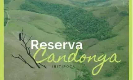 Terreno à venda, 20000 m² por R$ 160.000,00 - Lima Duarte - Lima Duarte/MG