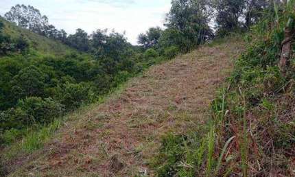 Terreno à venda, 500 m² por R$ 25.000 - Dias Tavares - Juiz de Fora/MG