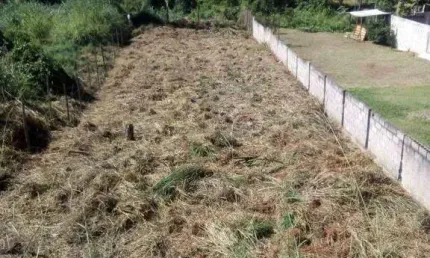 Terreno à venda, 397 m² por R$ 100.000 - Grama - Juiz de Fora/MG