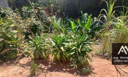 Terreno à venda, 150 m² por R$ 20.000 de entrada - Progresso - Juiz de Fora/MG