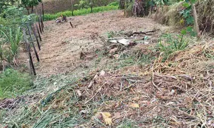 Terreno à venda, 240 m² por R$ 75.000,00 - Terras Altas - Juiz de Fora/MG