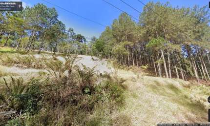 Área para Venda em Ribeirão Pires, Ouro Fino Paulista