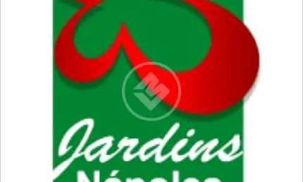 Lote Senador Canedo, Jardins Nápoles Rua Hortência codigo: 16574