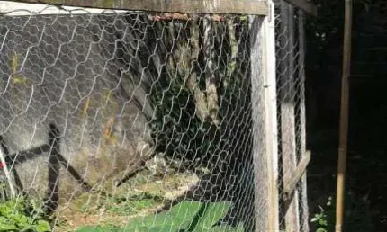 Casa com 2 quartos à venda na R. Teresa Papaes Galete, 115, Jardim Suzano, Suzano