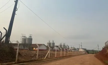 EXCELENTE OPORTUNIDADE EM ADQUIRIR UMA LINDA FAZENDA.