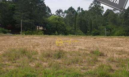 Terreno à venda, 26.000 m² por R$ 7.000.000 - Brigadeiro Tobias - Sorocaba/São Paulo