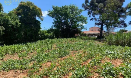 Terreno à venda, 9.271 m² por R$ 800.000 - Cristovão - Araçoiaba da Serra/SP