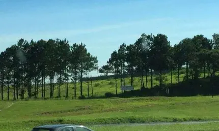 Terreno, 10900 m² - venda por R$ 3.900.000,00 ou aluguel por R$ 10.000,00/mês - Vila Artura - Sorocaba/SP