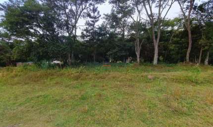 Venda Terreno Condomínio em Vargem Grande Paulista-SP: 1.000,00 m² no Bosque dos Pires. Venha construir seu sonho!