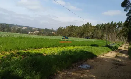 Terreno à venda na RUA BENEDITO MESSIAS DOS SANTOS NETO, 100, da Capelinha, Cotia por R$ 1.300.000