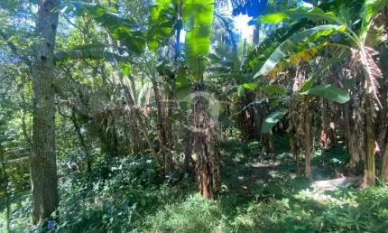 Terreno à venda na Rua Rosa, Pantanal, Florianópolis