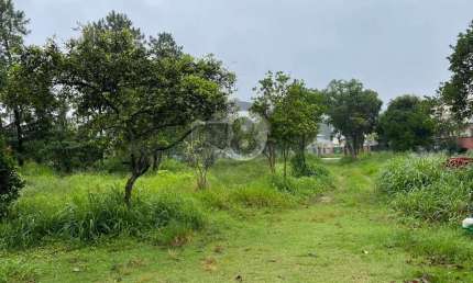 Terreno à venda na Servidão Jaborandi, Campeche, Florianópolis