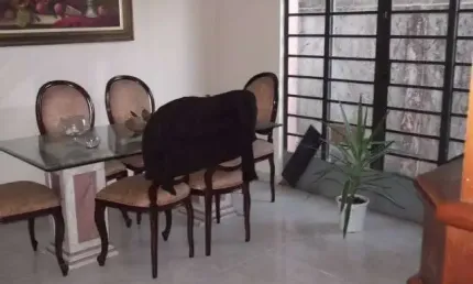 Casa com 3 quartos para alugar na Rua Cocais, 25, Jabaquara, São Paulo