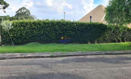 Terreno à venda em Curitiba, Bigorrilho, com 729 m²