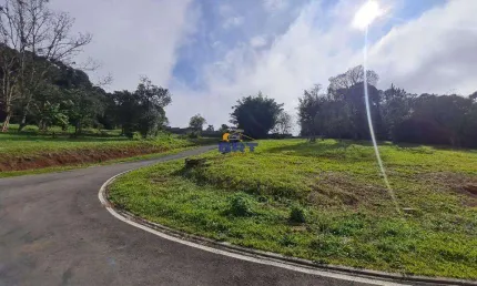 Terreno à venda em Campo Largo, Vila Conceição, com 1128.66 m²