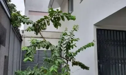 Ponto comercial com 20 salas à venda na Floresta, Belo Horizonte 
