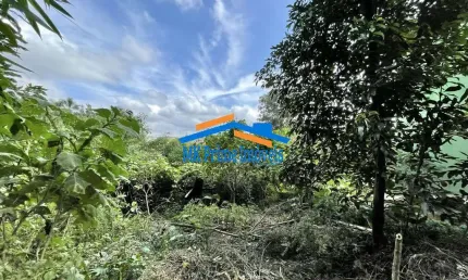 Lote 907,00 m² - Bolsão FECHADO no Miolo da Granja Viana!