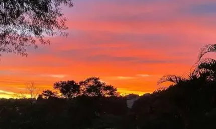 Terreno de 1.743m² no condomínio forest hills - granja viana