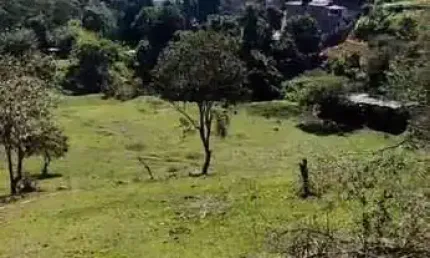 Terreno 5.000m² Plano, Zoneamento ZRMD-1 para venda Santana de Parnaíba/SP