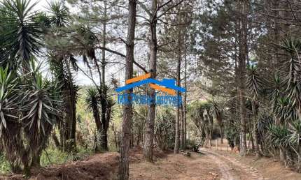 Km 36 Rap. Tavares - Área para Incorporação ou Chácara 18.455m²