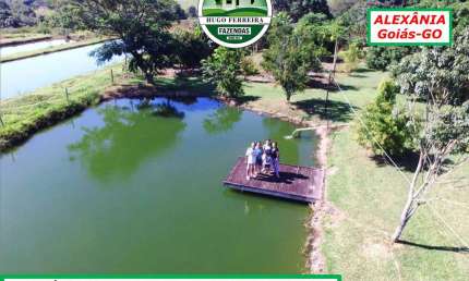 FAZENDA TOP EM ALEXÂNIA/GO- DUPLA APTIDÃO E ABUNDÂNCIA DE ÁGUA-3 NASCENTES