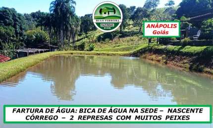 CHÁCARA EM ANÁPOLIS/GO - FARTURA DE ÁGUA-ESTUDA PROPOSTA DE NEGOCIAÇÃO
