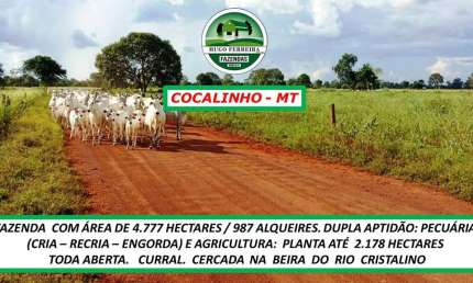 FAZENDA REGIÃO DE SOJA PORTEIRA FECHADA TODA CERCADA
