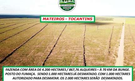 FAZENDA EM MATEIROS/TO- APTIDÃO AGRICULTURA - ESTRUTURADA-DOCUMENTOS EM DIA