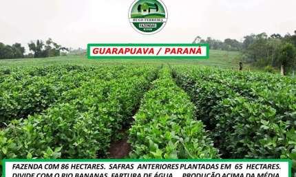 FAZENDA EM  GUARAPUAVA/PR - PRODUÇÃO ACIMA DA MEDIA- BOA ESTRUTURA