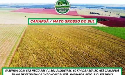 FAZENDA EM CAMAPUÃ/MS-DUPLA APTIDÃO-TOPOGRAFIA PLANA