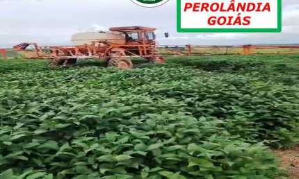 FAZENDA REGIÃO DE SAFRA E SAFRINHA-ÁGUA EM ABUNDÂNCIA E A 8KM DA CIIDADE