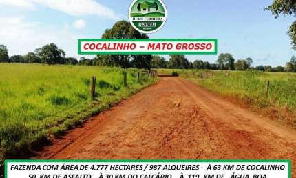 FAZENDA DUPLA APTIDÃO EM COCALINHO/MT-BEIRANDO O RIO CRISTALINO