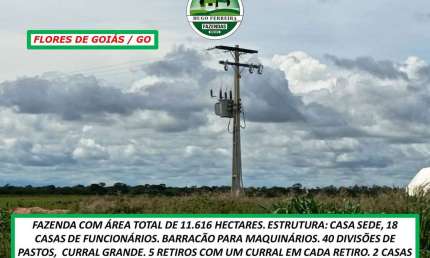 FAZENDA EM FLORES DE GOIÁS/GO-MUITO BEM ESTRUTURADA-DUPLA APTIDÃO
