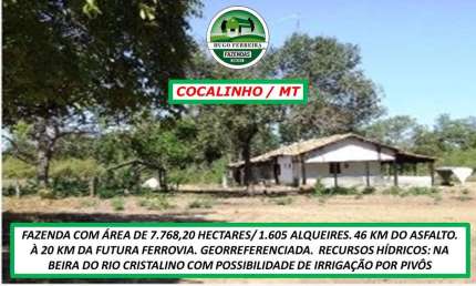 FAZENDA EM COCALINHO/MT-EXCELENTE LOGÍSTICA- GEO REFERENCIADA E ESTRUTURADA
