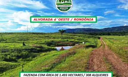 FAZENDA  ESTRUTURADA E ÓTIMOS RECURSOS HÍDRICOS REPRESA CORTADA POR RIO