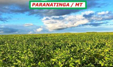 FAZENDA BOA LOGÍSTICA: 48 KM DO FRIGORÍICO MINERVA-DUPLA APTIDÃO