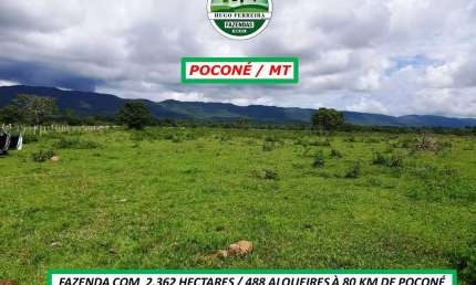 FAZENDA NÃO É REGIÃO DO PANTANAL-ESTRUTURADA- À 3KM DO ASFALTO