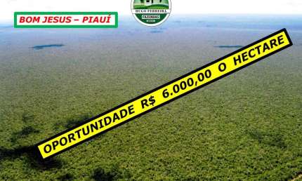FAZENDA À 30KM DO ASFALTO-DUPLA APTIDÃO E POTENCIAL PARA OUTRAS CULTURAS