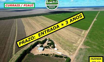 FAZENDA COM DUPLA APTIDÃO-BOA LOGÍSTICA:PRÓXIMA DA BUNGE