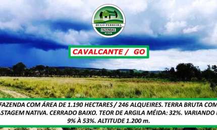 FAZENDA COM PASTAGEM NATIVA-TERRA BRUTA-TEOR DE ARGILA MÉDIA 32%