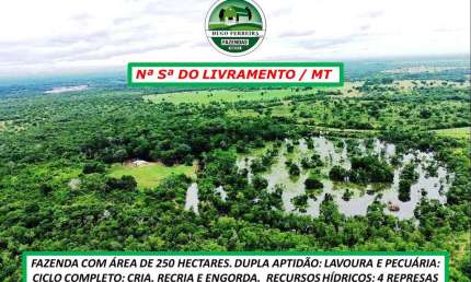 FAZENDA DUPLA APTIDÃO-ESTRUTURADA-POÇOS ARTESIANOS-EXCELENTE LOGÍSTICA