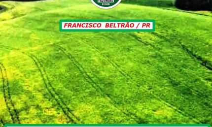 GRANJA COM BELÍSSIMA ESTRUTURA-BANHADA POR RIO -PARCELAMENTO DISPONÍVEL