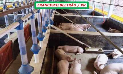 MODERNA GRANJA À 3KM DO ASFALTO-TOTALMENTE EQUIPADA E ESTRUTURADA