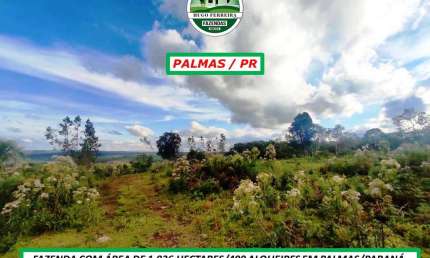 FAZENDA PARA LAVOURA-SEM BENFEITORIAS-FARTURA DE BRACATINGA