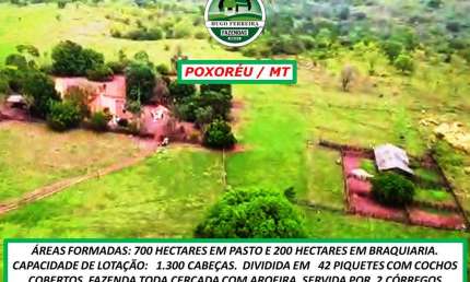 FAZENDA À 58KM DO ASFALTO-DUPLA APTIDÃO-CÓRREGOS-ESTRUTURADA-CERTIFICADA