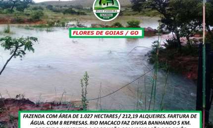 FAZENDA EM REGIÃO COM CLIMA EXCELENTE E FARTURA DE ÁGUA-ESTRUTURADA